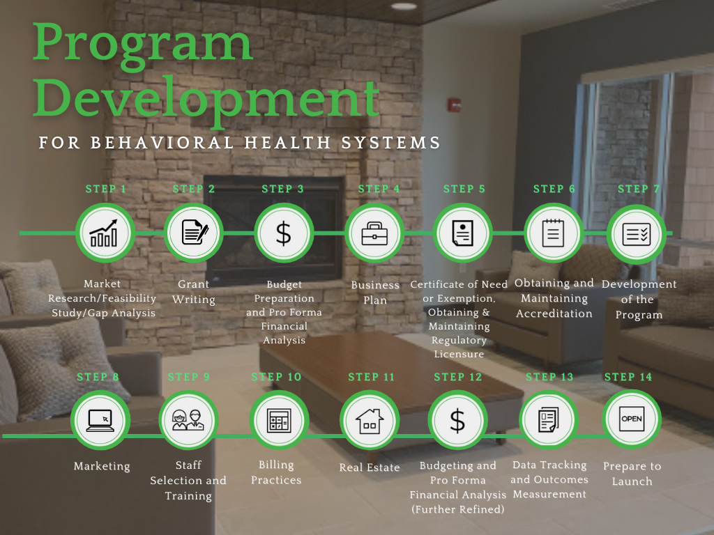 The program development process